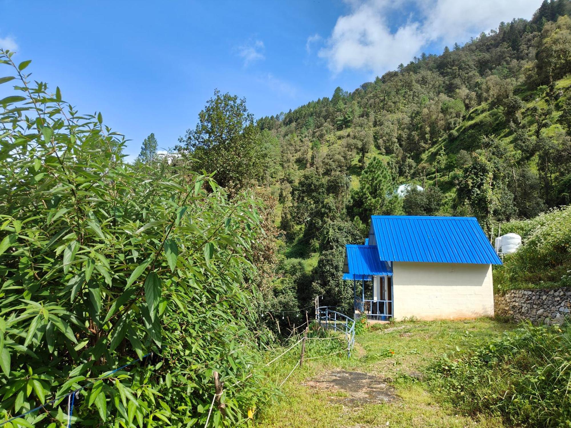 Himwanderer Camps & Cottages Pangot Нейнитал Екстериор снимка