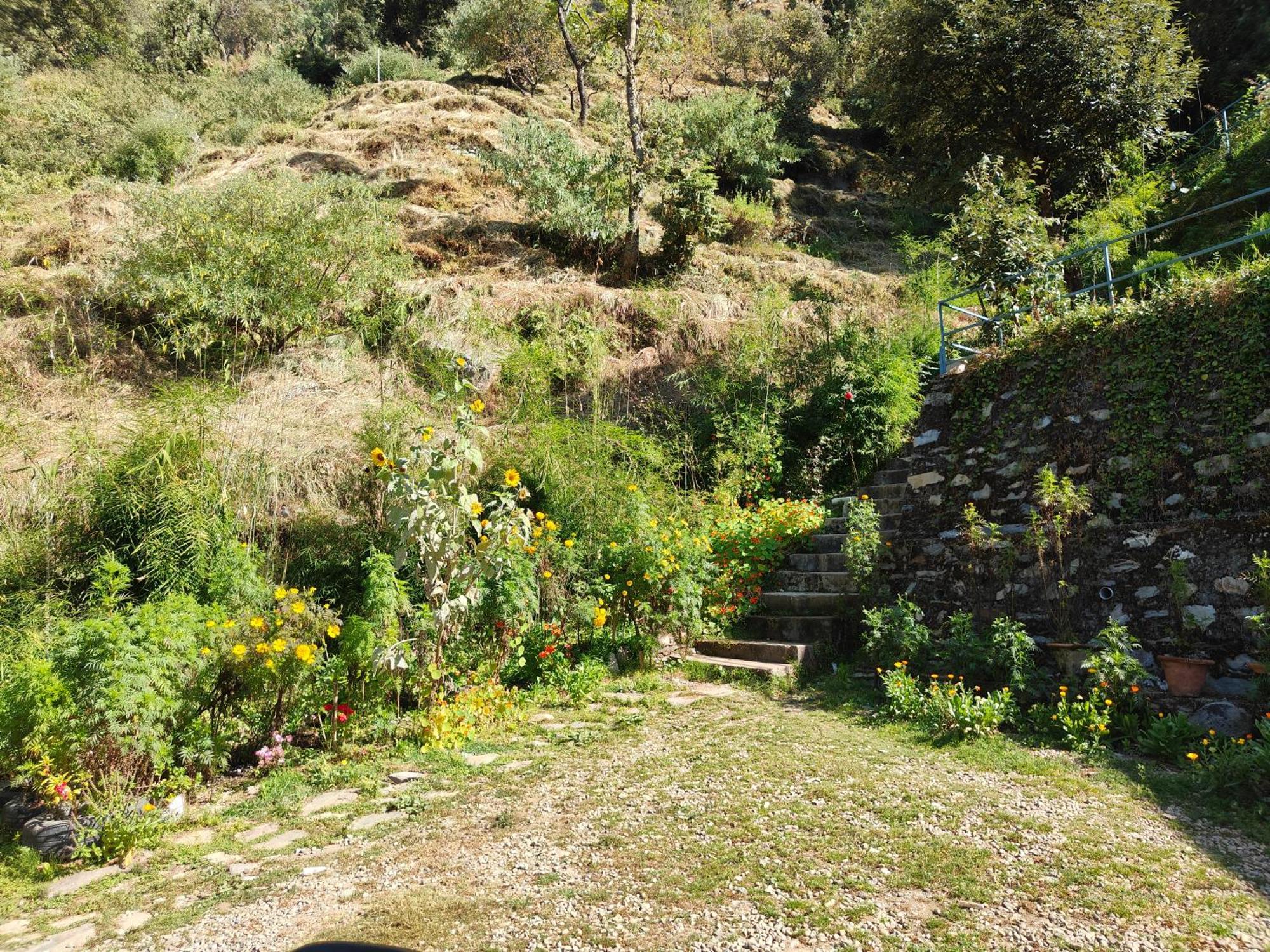 Himwanderer Camps & Cottages Pangot Нейнитал Екстериор снимка