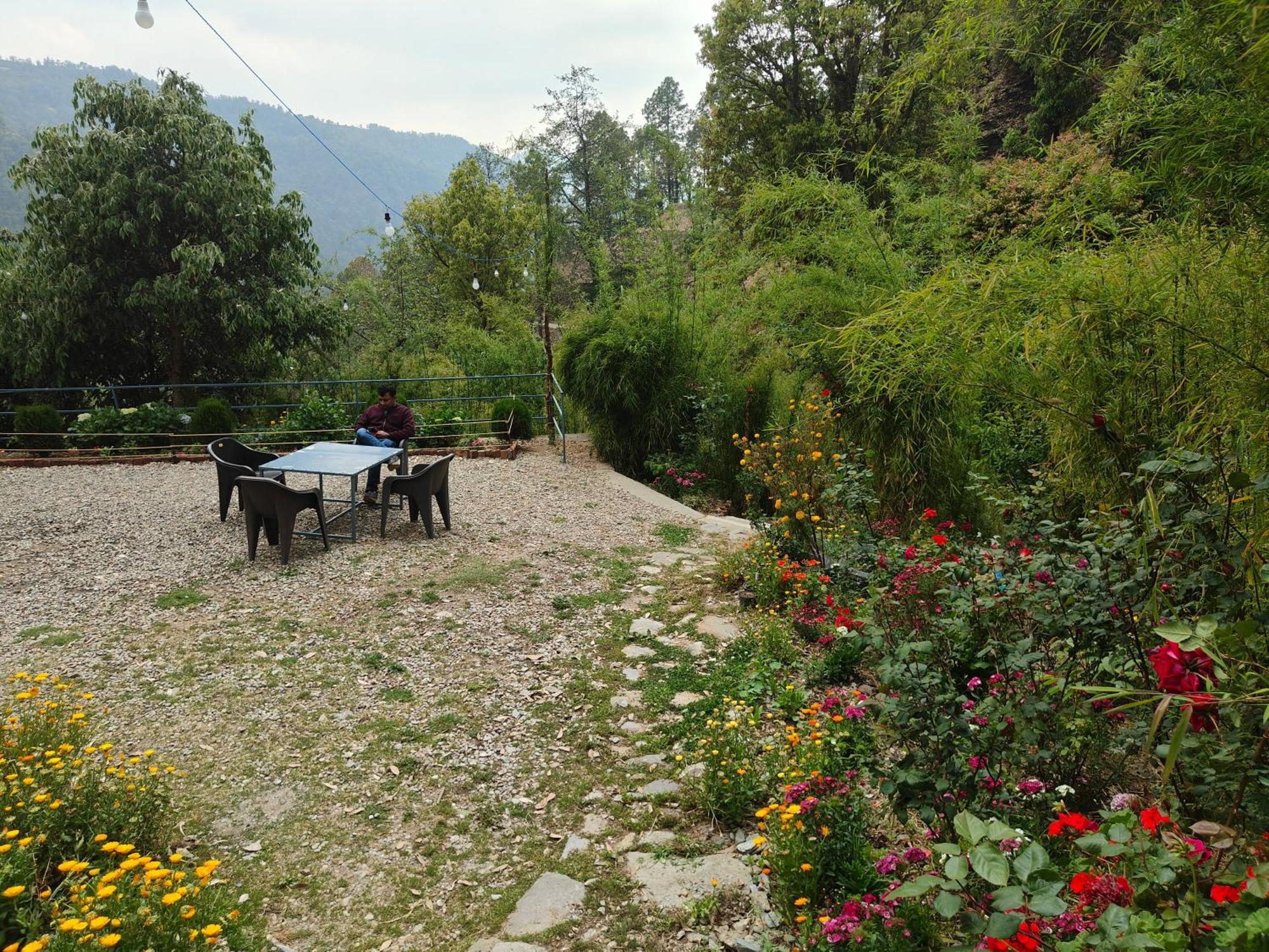Himwanderer Camps & Cottages Pangot Нейнитал Екстериор снимка