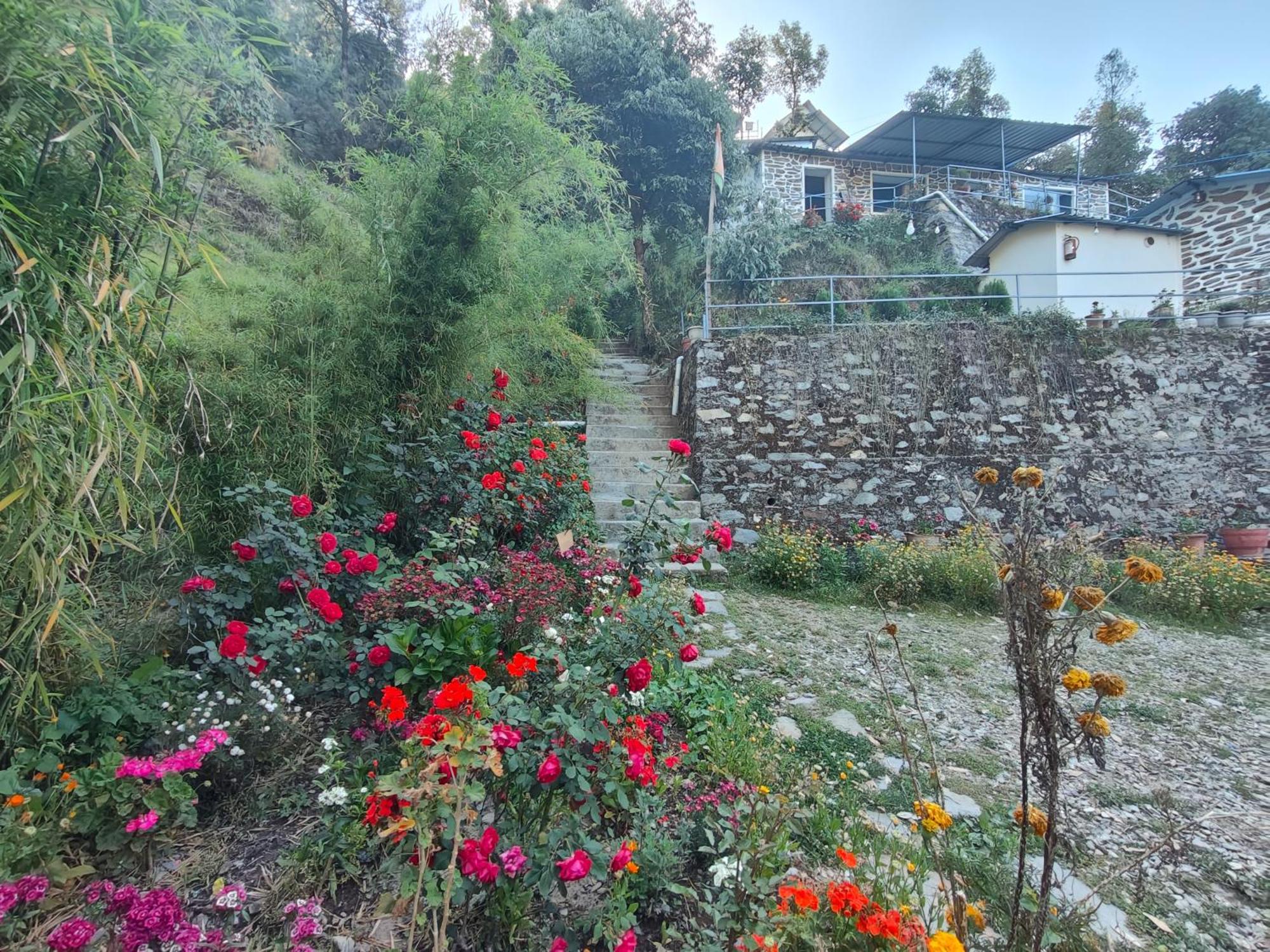 Himwanderer Camps & Cottages Pangot Нейнитал Екстериор снимка