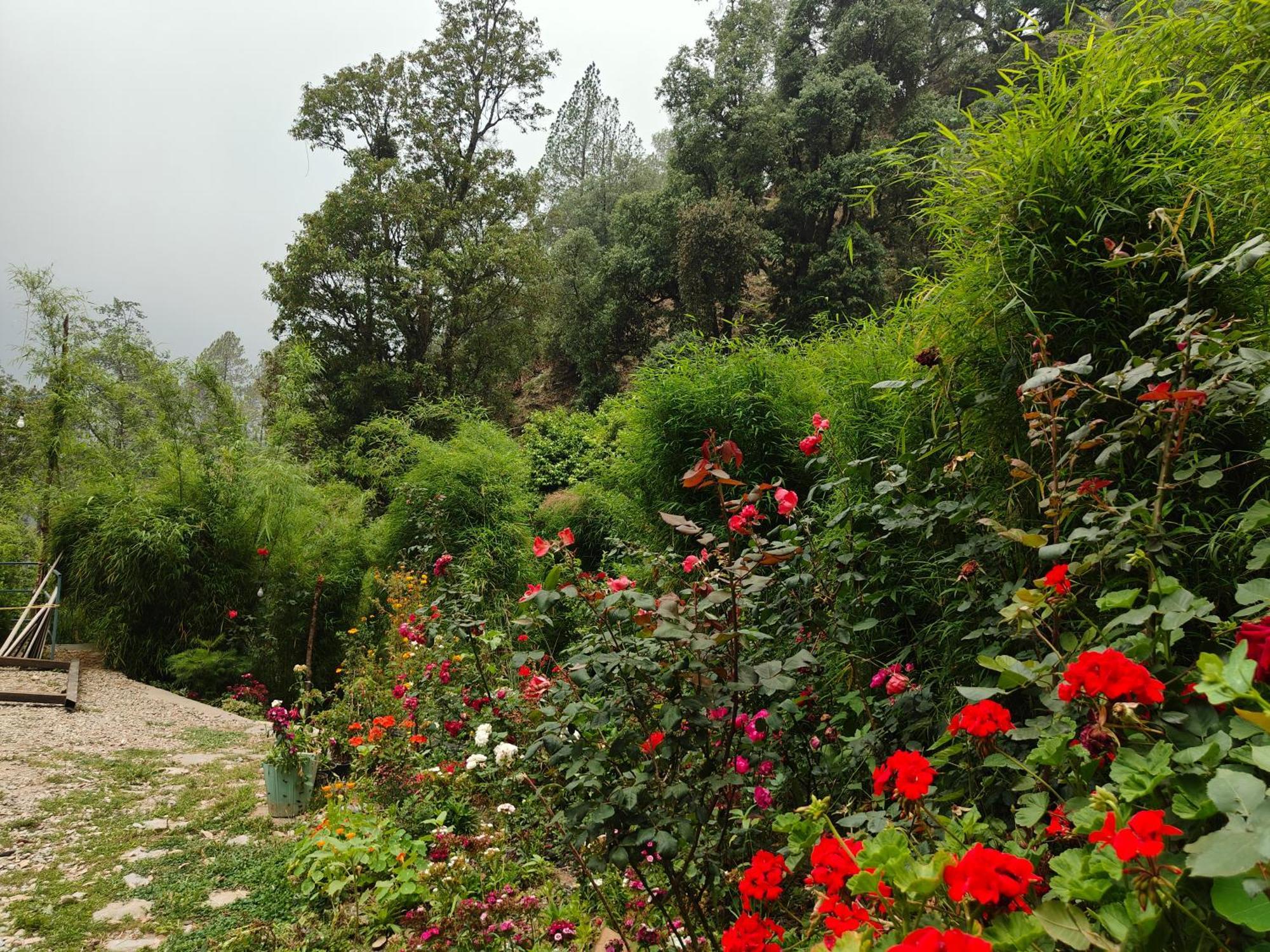 Himwanderer Camps & Cottages Pangot Нейнитал Екстериор снимка